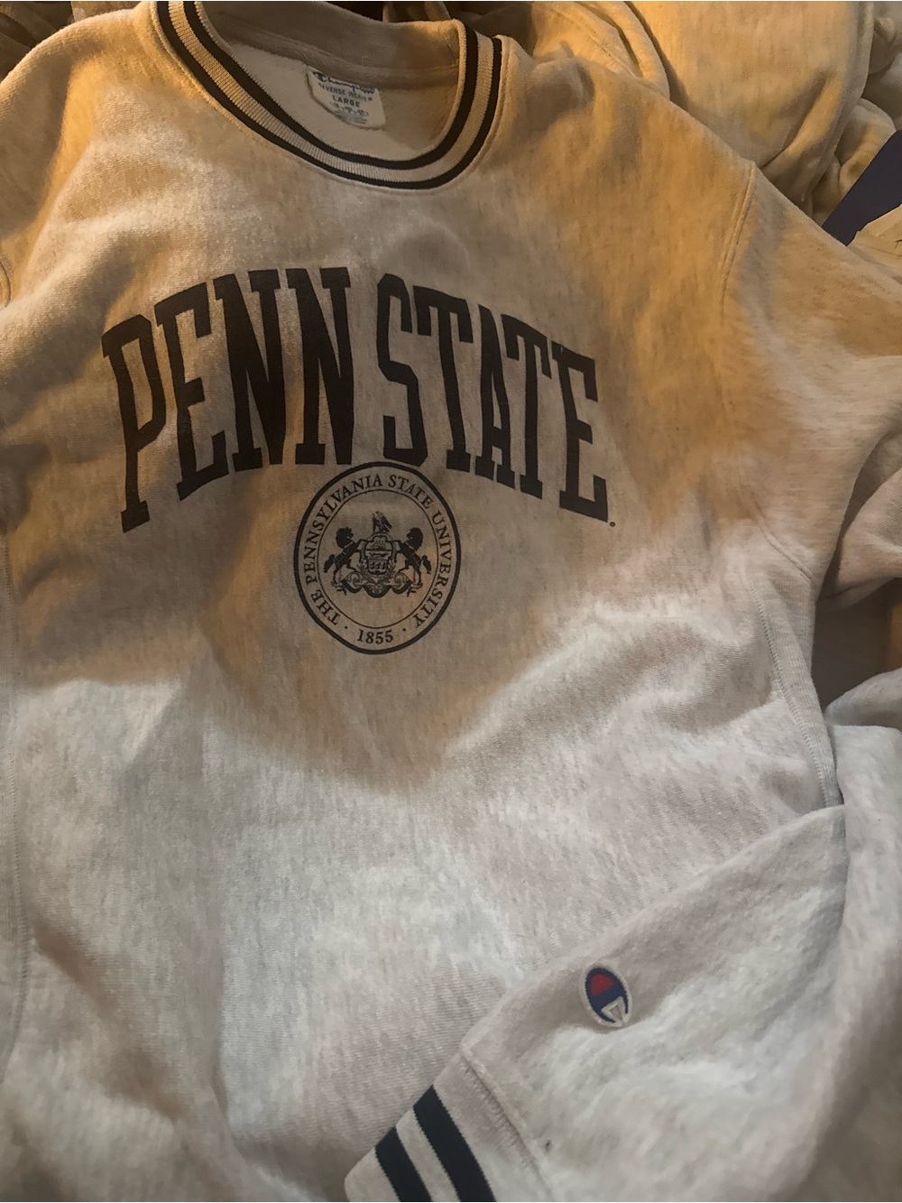 Penn State Champion Crewneck Sweatshirt - Oatmeal with Navy Print